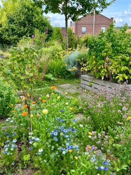 Zurück zu grünen Gärten